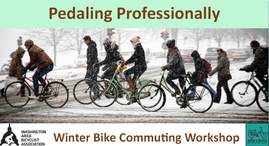Pedaling Professionally Winter