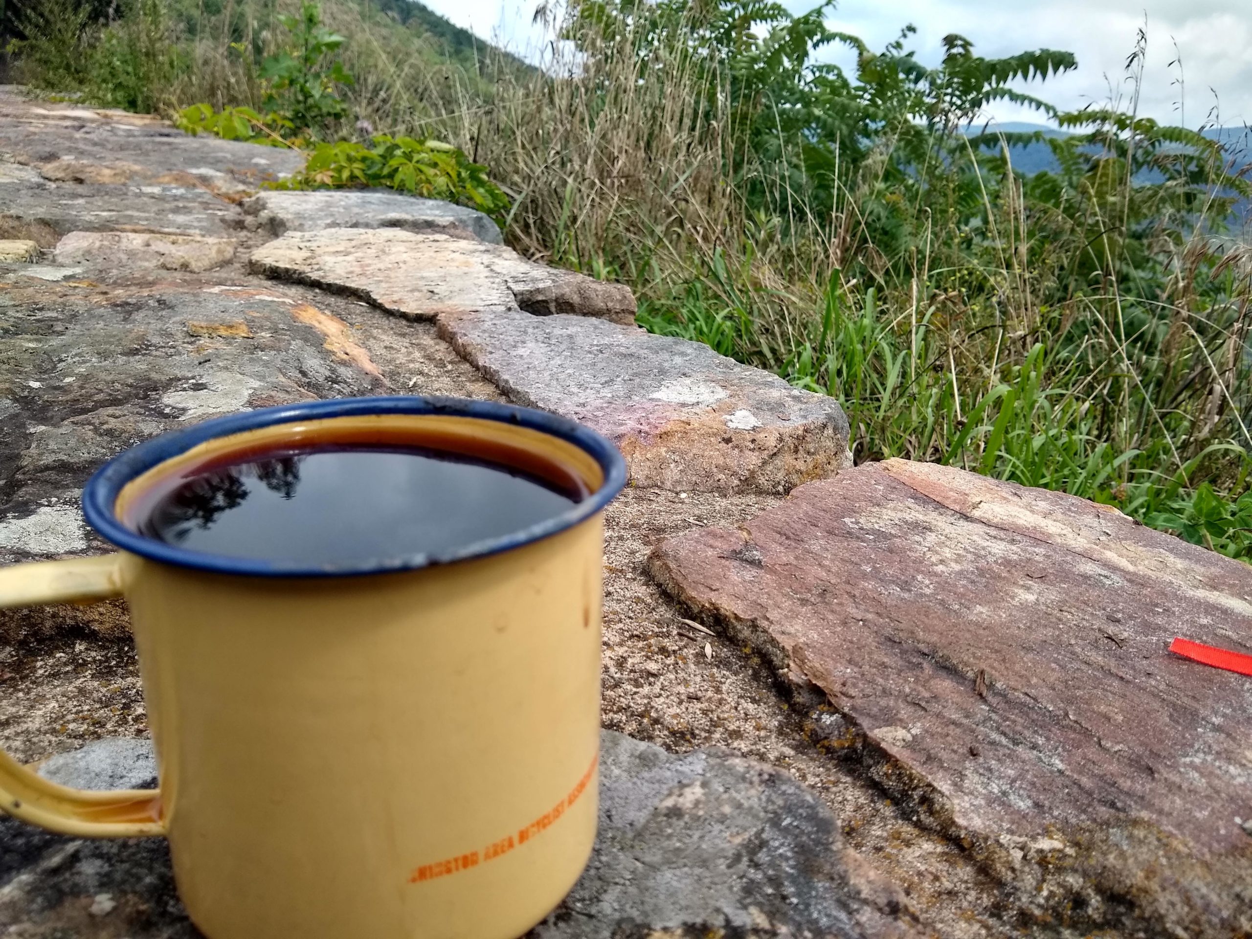 A metal WABA coffee mug sits on a rock ledge, there are grasses and trees behind. Its a nice vague generic artsy coffee on ledge vibe.