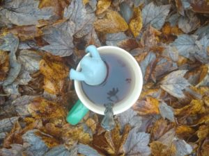 Looking down at a tea mug sitting in a pile of leaves. There is a metal spoon in the brown tea and a manatee shaped tea strainer