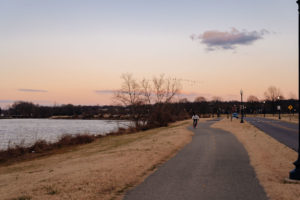 Anacostia River Trail at sunrise. There is a flock of geese in the sky and a black guy on a bike is riding to the camera on the trail. Grass is brown and its winter