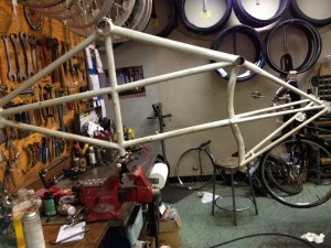 Papillon Tandem